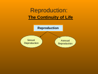 ASexual Reproduction Lesson (2).ppt
